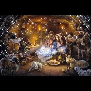 Meet your Posher, Janine